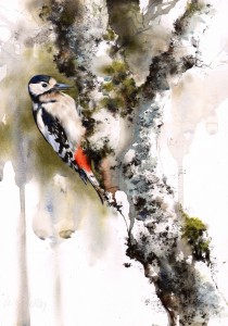 greatspottedwoodpecker                                                