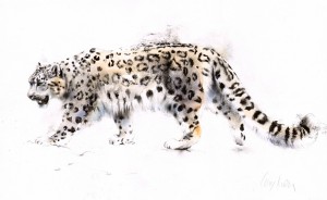 snowleopard          