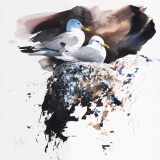 As The Sun Moves Around