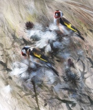 Final Days of Summer