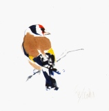 Goldfinch