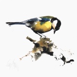 Great Tit 2