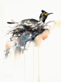 Nesting Shag