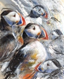 Puffin Study
