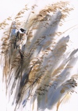 Swaying with the Reeds